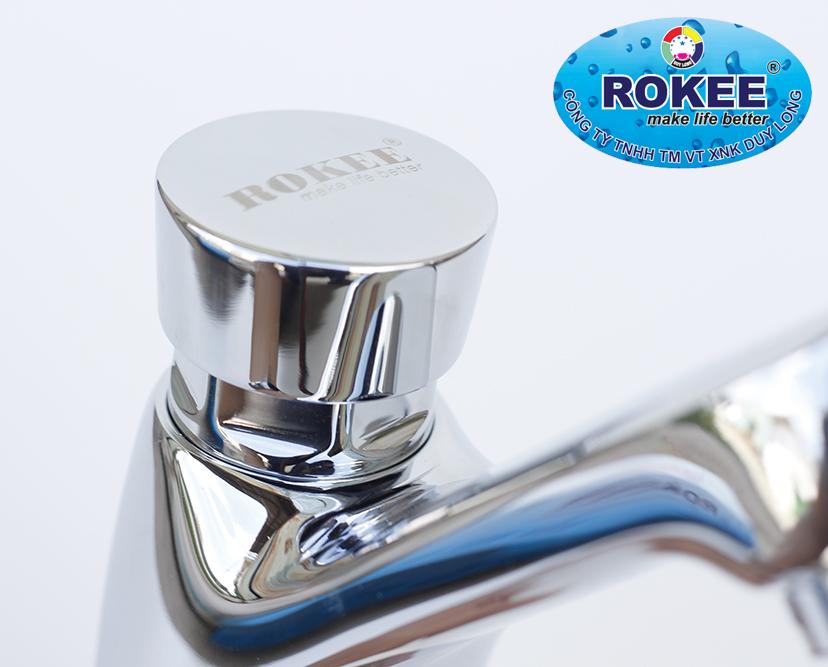 Vòi lavabo lạnh nhấn hơi Rokee DL311 (Trắng bạc)