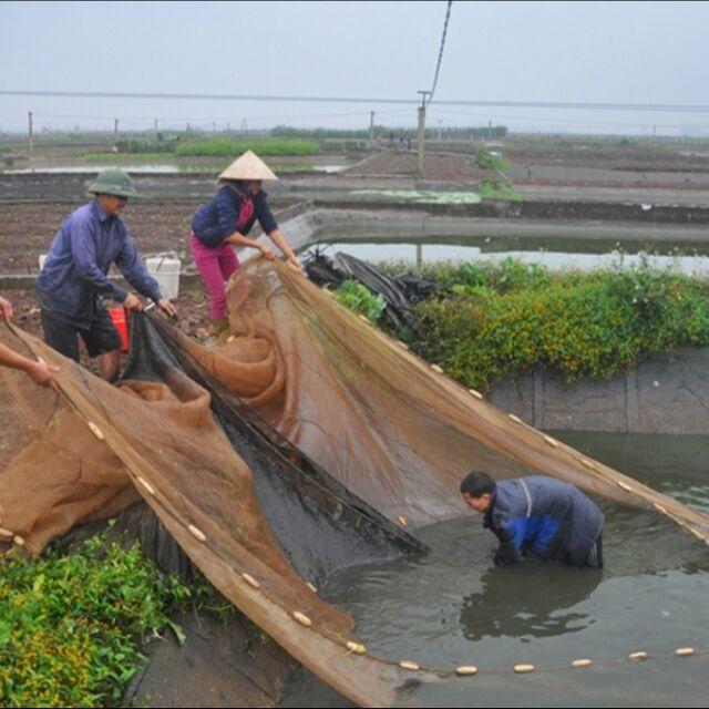 Lưới vét cá cao 2m5 dài 10m ( cần câu 24h ) - siêu sale mùa cuối năm - cực hot - đại hạ giá thanh lý hàng tồn