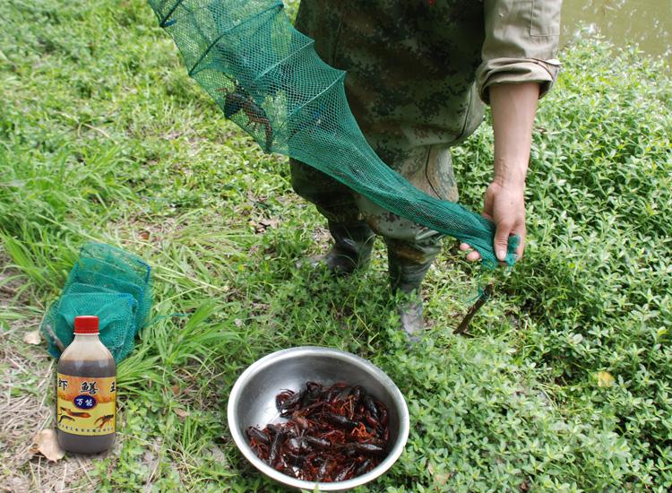 Lồng bát quái bắt tôm cua cá 5m