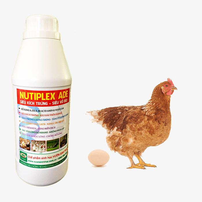 Chế phẩm NUTI-ADE. Siêu kích trứng dùng cho gà đẻ, vịt đẻ, cút đẻ