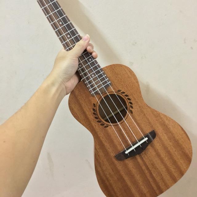 ĐÀN CONCERT LÁ LÚA CAO CẤP