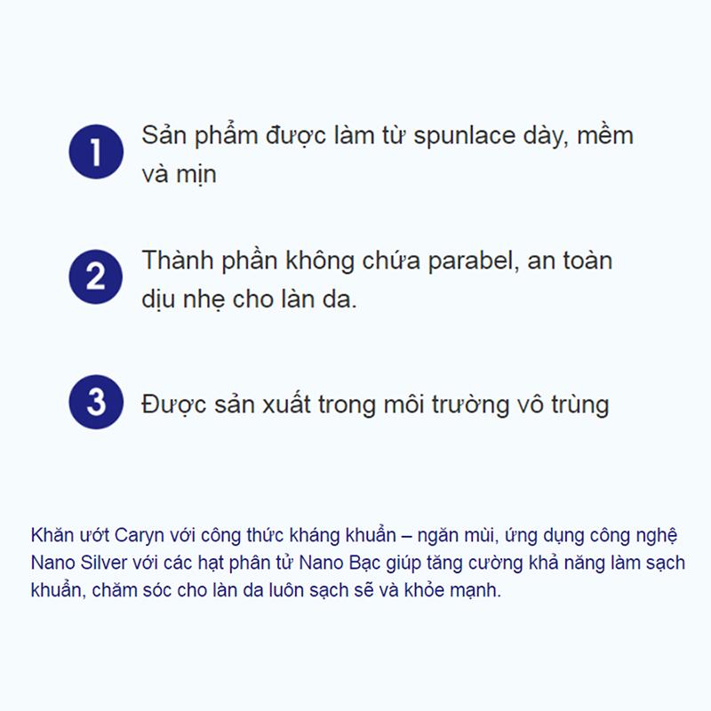 Khăn giấy ướt người lớn Caryn Care 100 tờ [Bao bì thay đổi theo từng đợt nhập hàng]