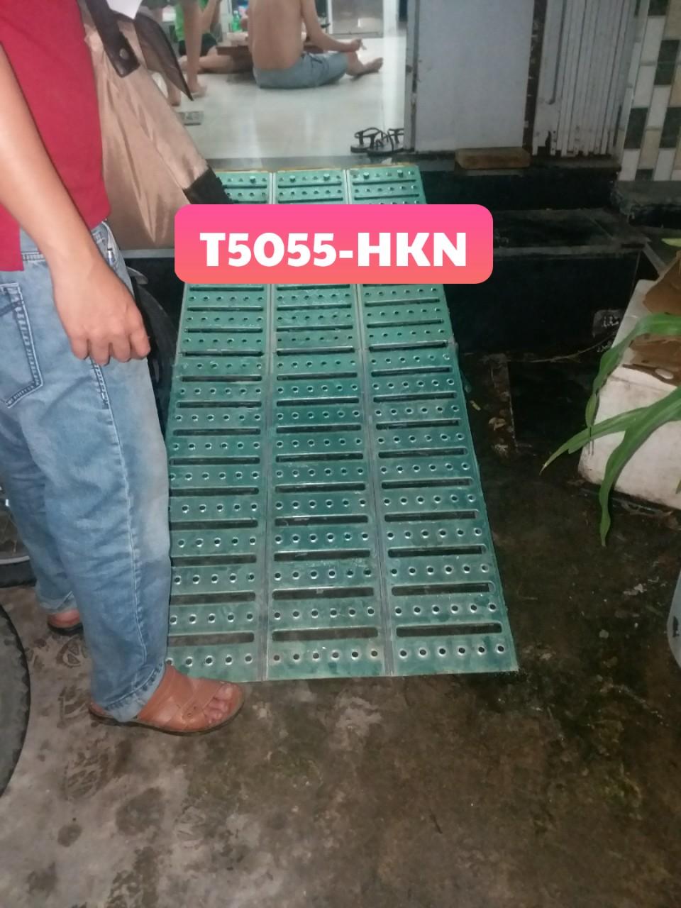 Cầu dắt xe thông minh T5055