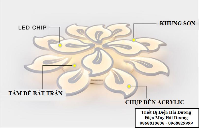 Đèn LED ốp trần 12 lá NT025 72W - 3 chế độ ánh sáng Có Điều Khiển