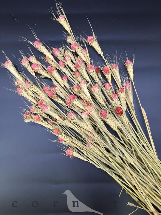 Bó hoa cúc đỏ hồng trang trí phòng khách - FM26 - Hoa Khô