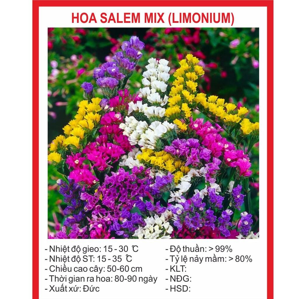 [Lấy mã giảm thêm 30%] Hạt Giống Hoa Salem Mix (100 hạt)