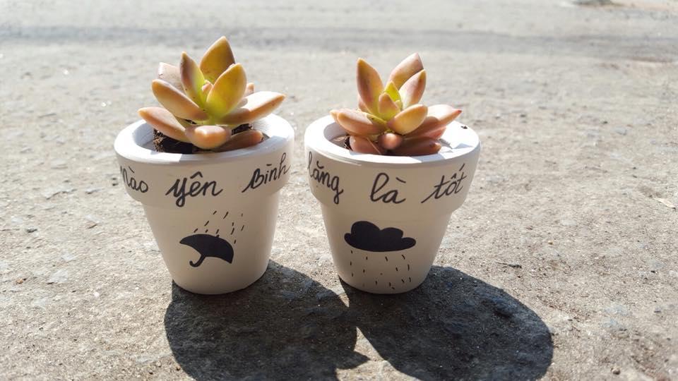 Combo 2 chậu sen đá mini siêu cute