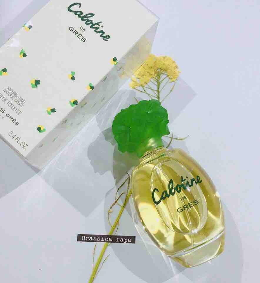 [HCM]Nước hoa Cabotine De Gres 100ml