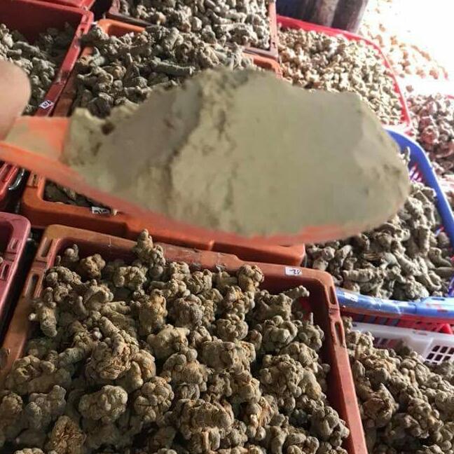 1kg Củ tam thất loại 8 củ