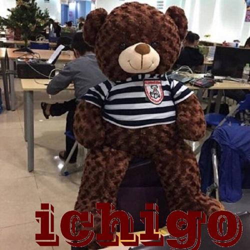 GẤU BÔNG TEDDY CAO CẤP KHỔ VẢI 1M SIÊU RẺ
