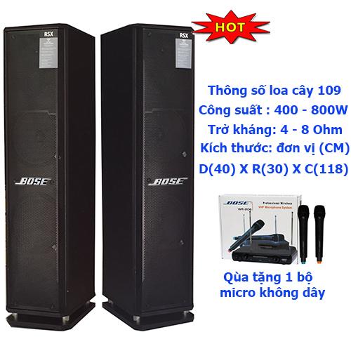 Loa đứng karaoke RXS 109 (tặng micro không dây)