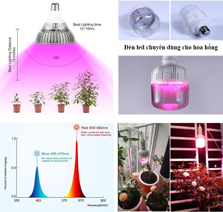 Bộ Đèn Led chiếu sáng cho cây Hoa Hồng + TẶNG Đui đèn chống nước Bộ 5 bóng