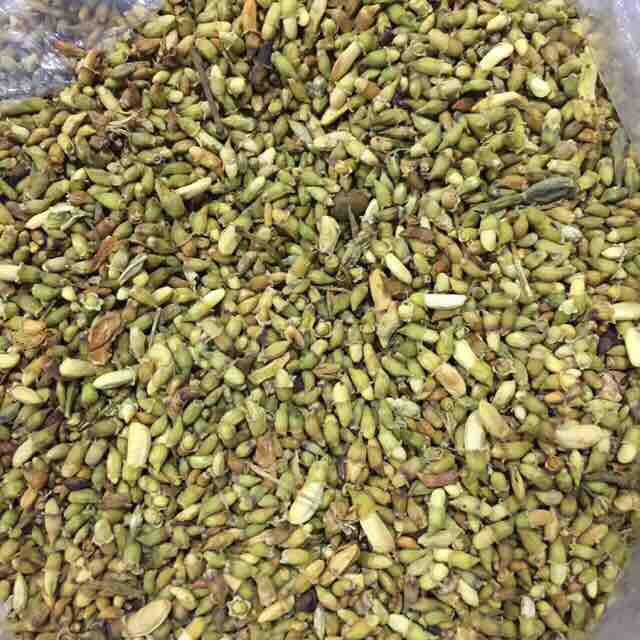 Trà Hoa Hoè [0.5kg]