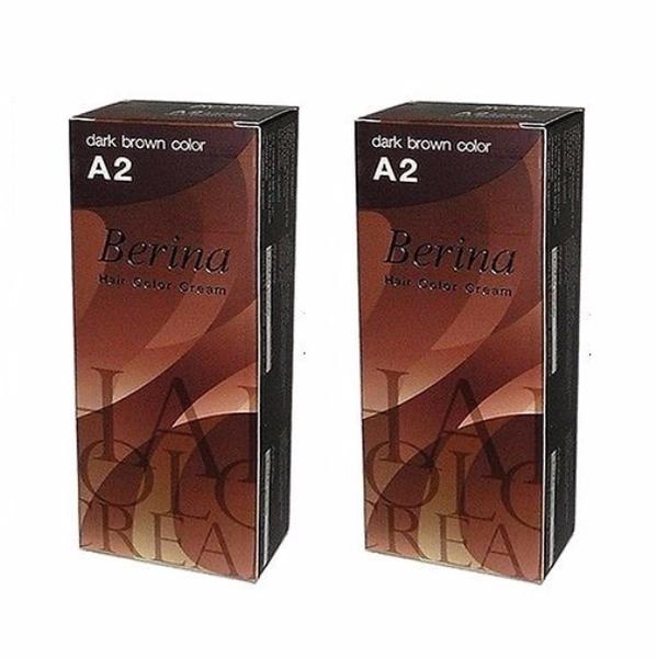 Thuốc nhuộm tóc Berina A2 - Thái Lan (nâu)