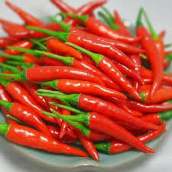 hot chili pepper with HIGH QUALITY and COMPETITIVE PRICE