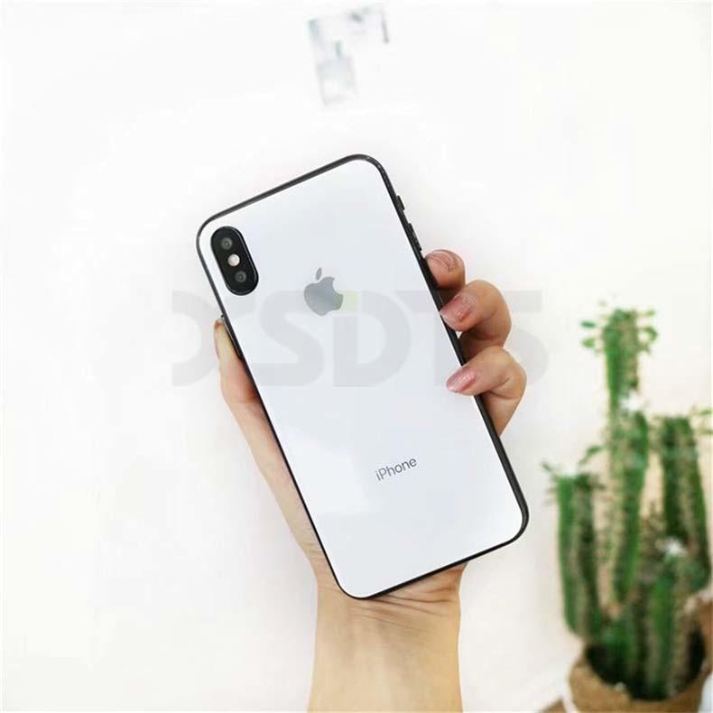 Kính Cường Lực Mặt Sau 5D Cho iPhone Xs Max - Đen