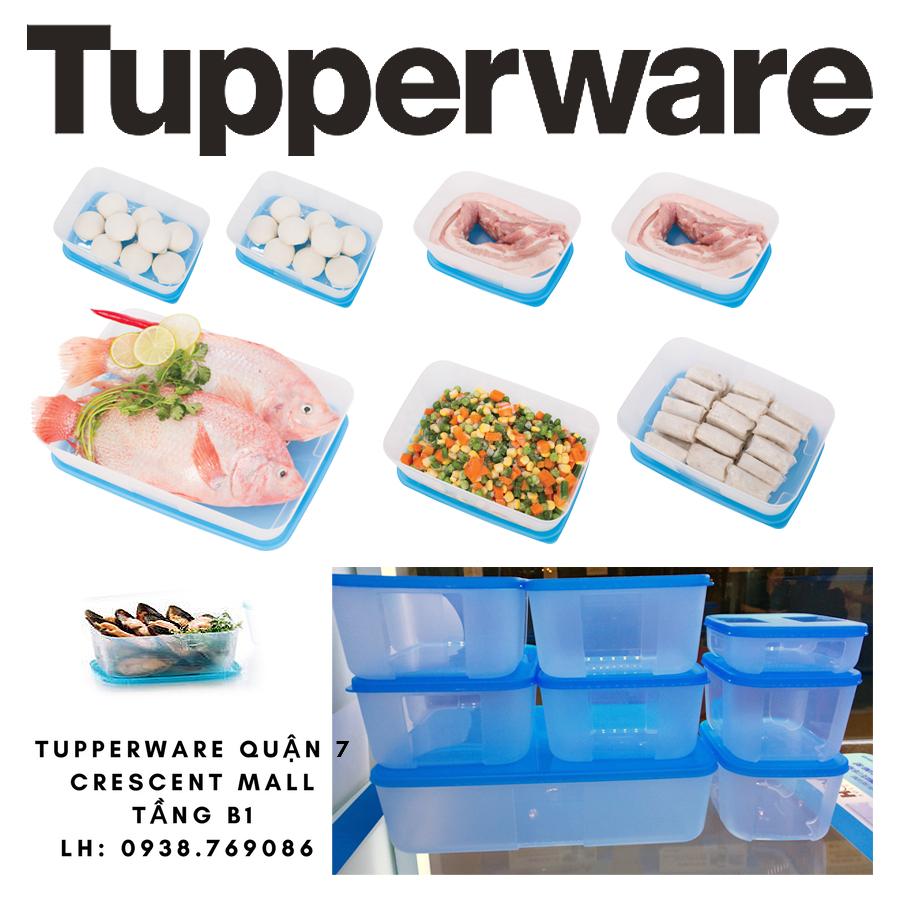 Hộp trữ đông Tupperware Set 8 + QUÀ TẶNG HẤP DẪN