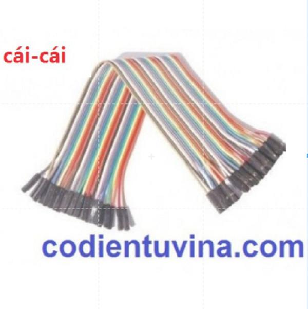 DÂY CẮM TEST BOARD 20CM cái-cái (40 SỢI)