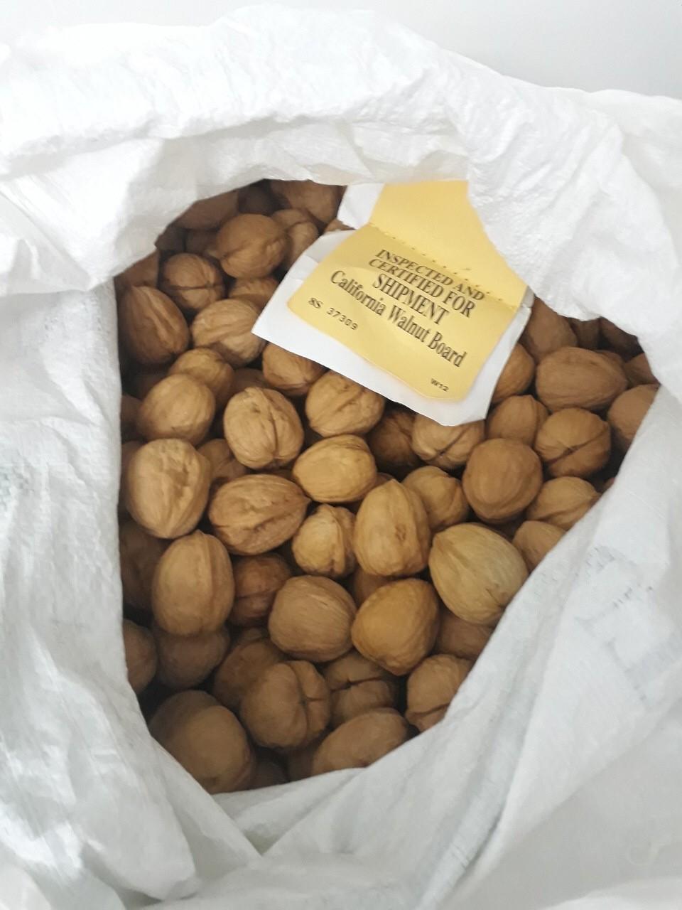 [HCM][VikoNut] Óc chó vàng Chandler Mỹ còn vỏ [500g 300g] -  Walnut