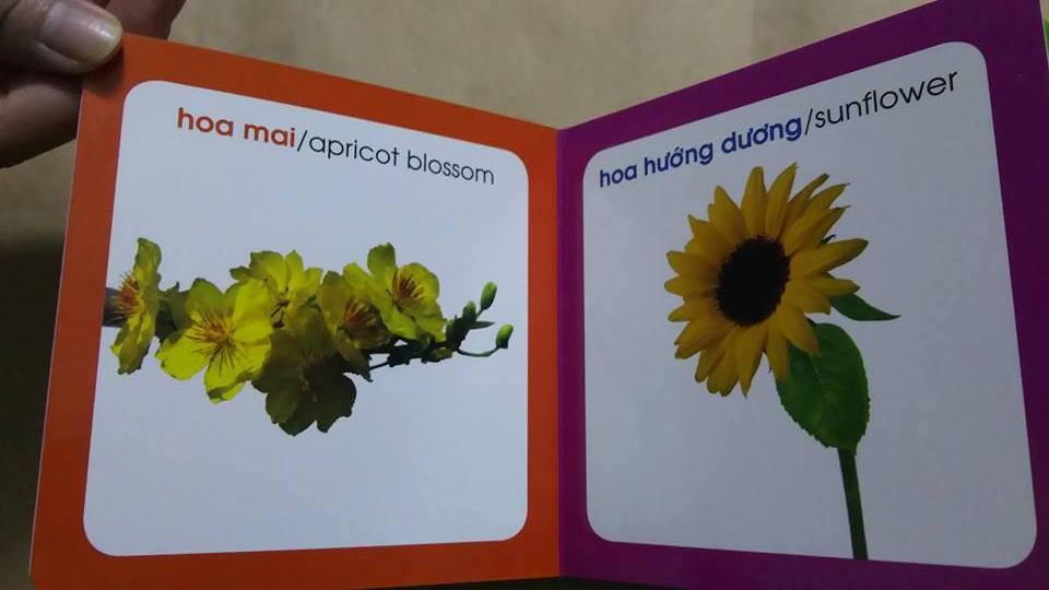 Từ điển hình ảnh cho bé - Hoa