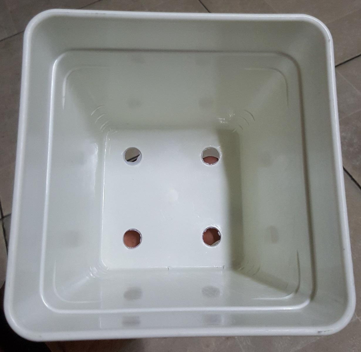 Chậu Vuông 14x12 (set 50 cái)
