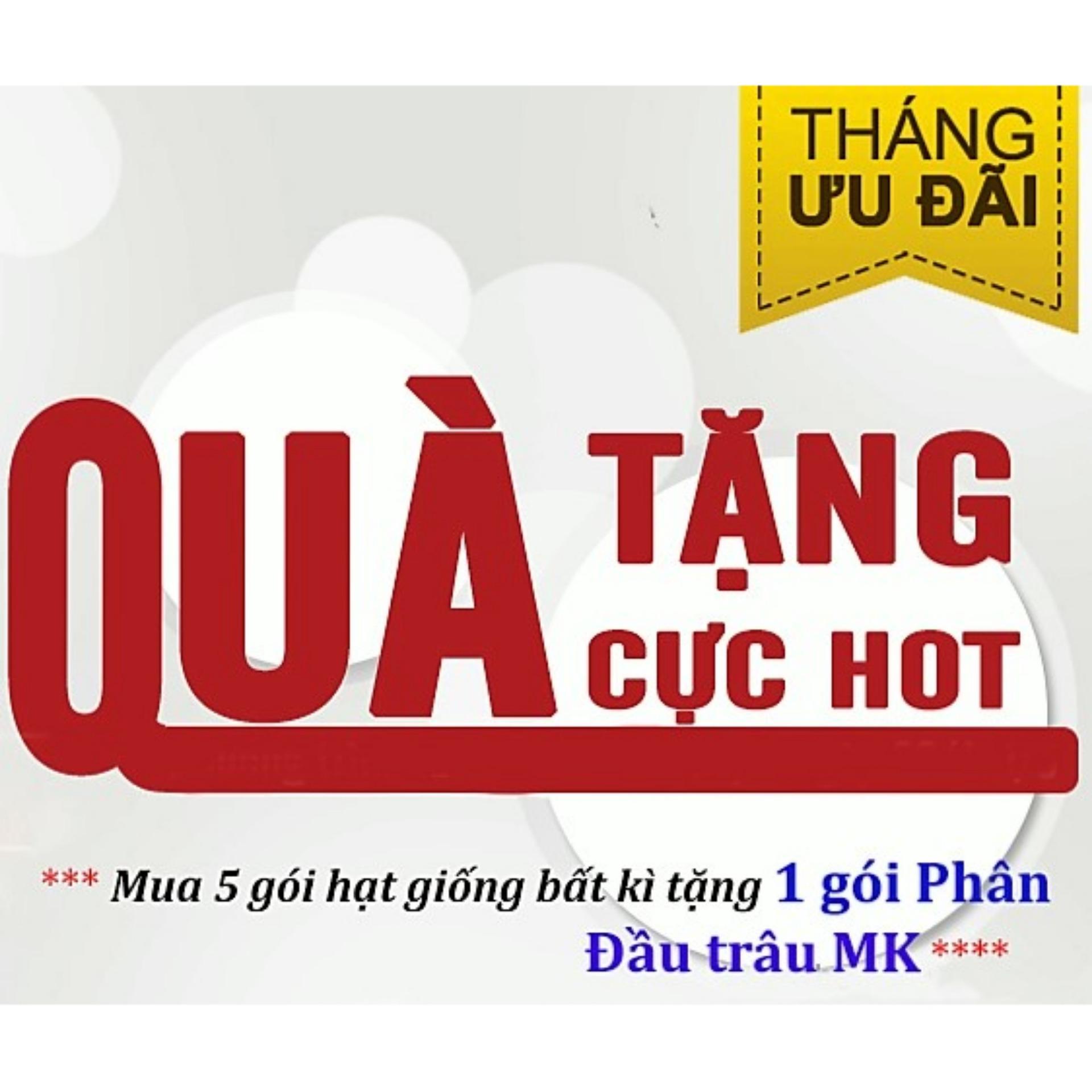 [HCM]Hạt giống Dưa Hấu Ăn Non (Dưa hấu nụ) - 3g