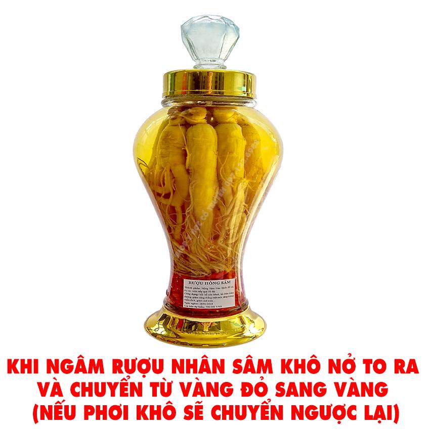 Combo 5 củ sâm khô (loại tốt) - Tặng 200g Táo đỏ
