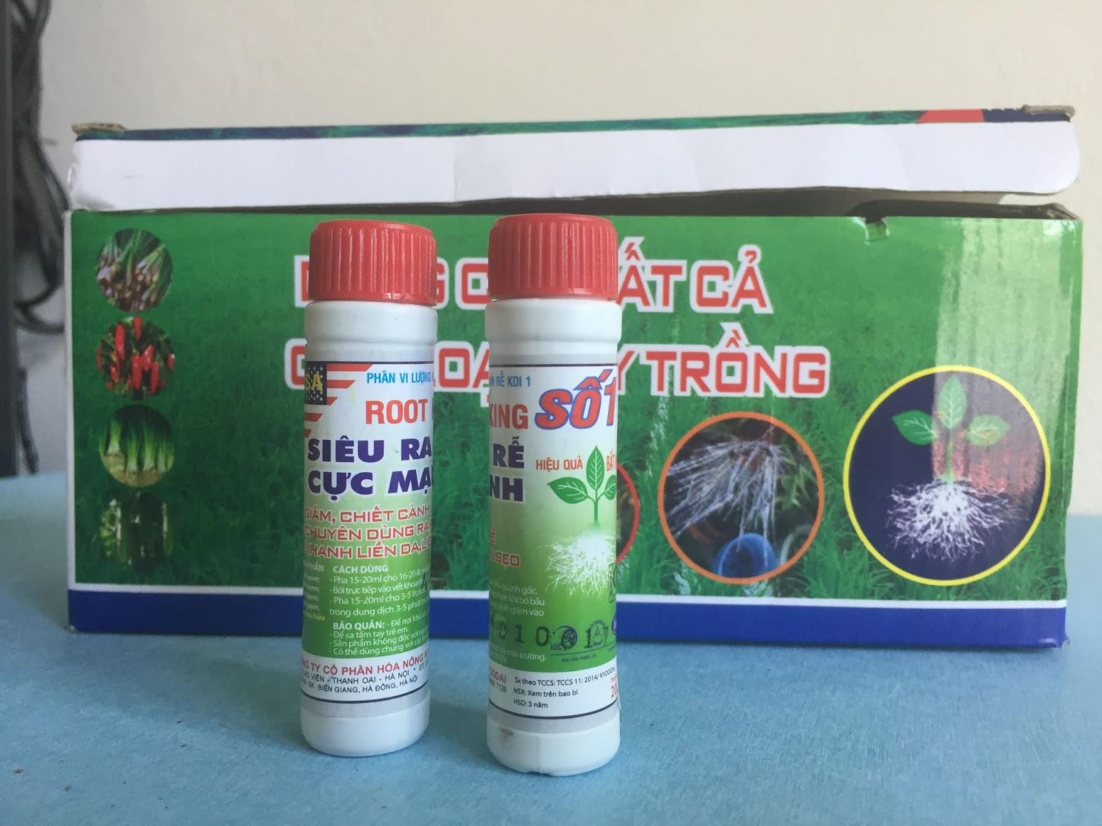 6 lọ Siêu ra rễ cực mạnh Root king