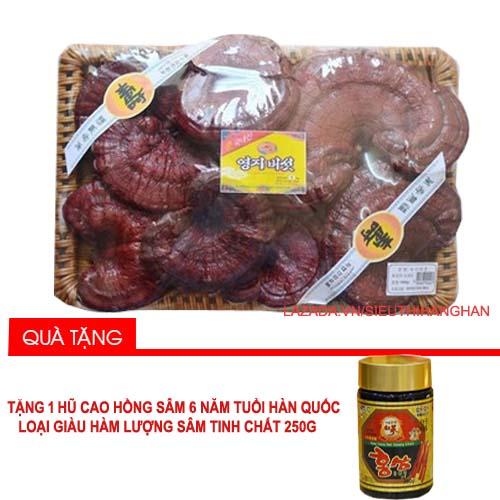 Nấm Linh Chi Đỏ Hàn Quốc Đóng Giỏ 1kg + Tặng 2 gói kẹo sâm Hàn Quốc 200g