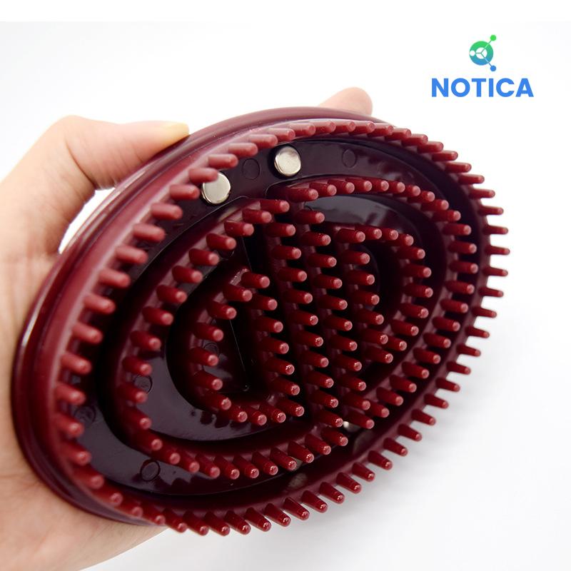 BÀN CHẢI MASSAGER THÔNG KINH LẠC
