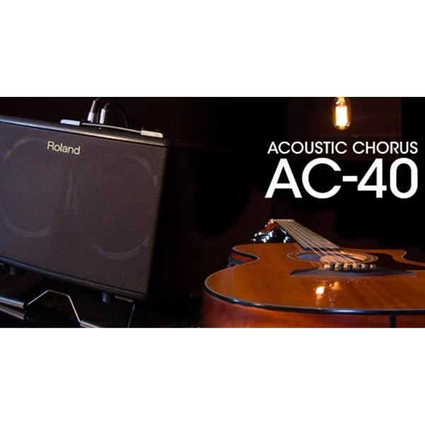Ampli Loa Roland AC-40  (AC 40)