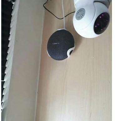 Case treo Google home mini