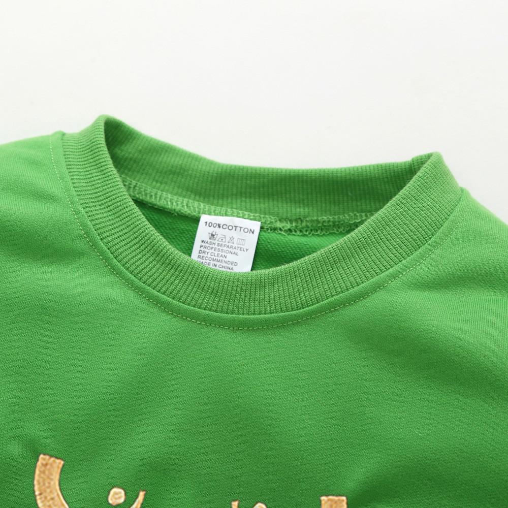 Toddler Kids Baby Boy Animal Cartoon Pullover Sweatshirt Tops Clothes Outfits