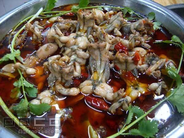 Thuốc Dụ ( Nhử ) Ếch Siêu Nhạy