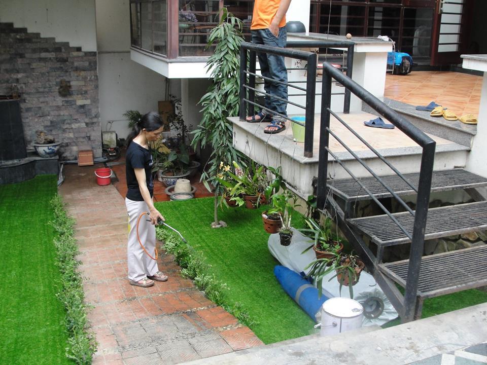 4 mét vuông thảm cỏ nhân tạo độ cao 2cm.