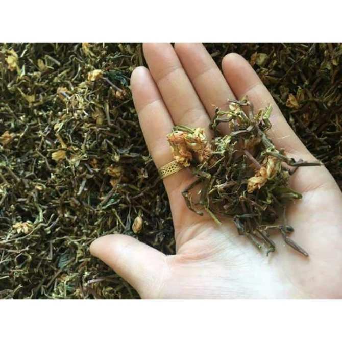 trà bát tiên và trà sơn mật (hồng sâm) trà bát tiên và trà sơn mật (hồng sâm)