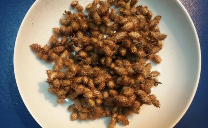 Trà Ké Đầu Ngựa 1kg