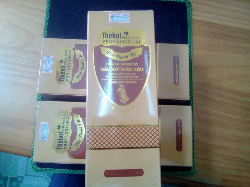 combo 2 chai dầu gội Thebol (xanh)