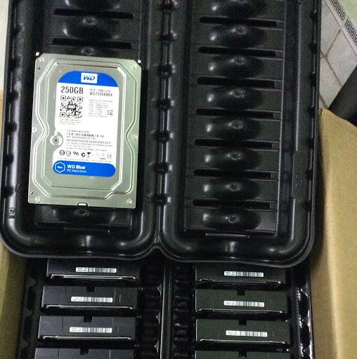 Ổ cứng RN Westem Blue Bảo hành 12 tháng đổi mới