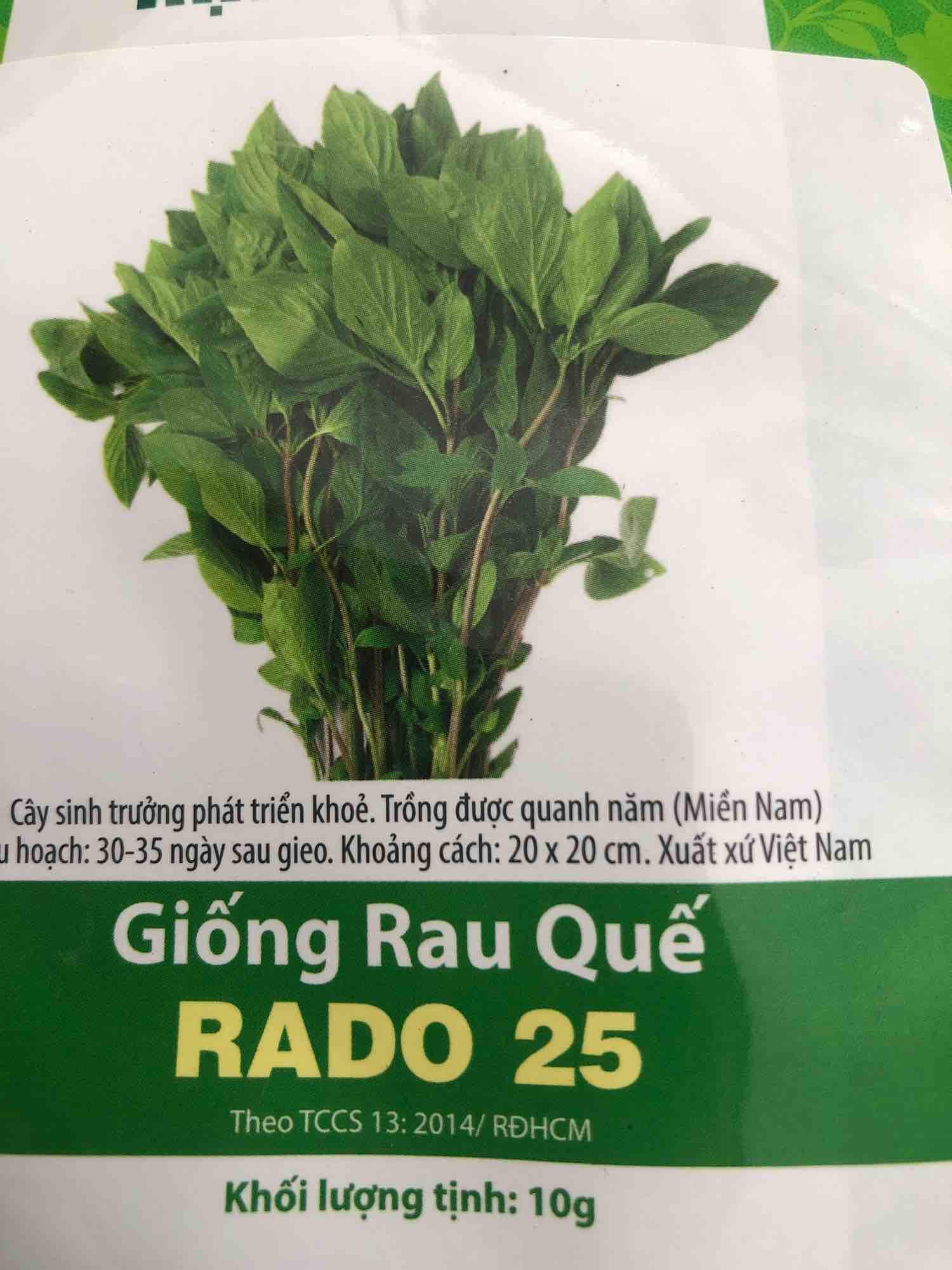 Giống Rau Quế thơm - HẠT GIỐNG RAU THƠM