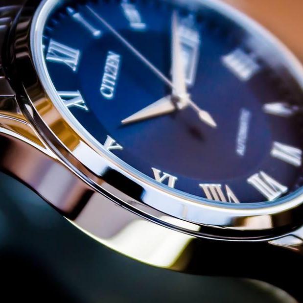 CITIZEN AUTOMATIC NH8360-80L