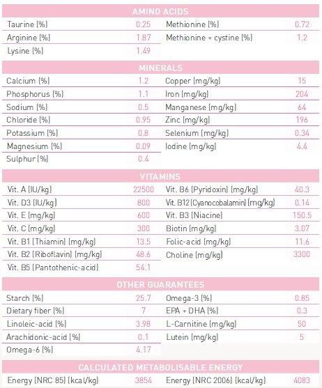 Thức ăn hạt khô Royal canin kitten 36 cho mèo con