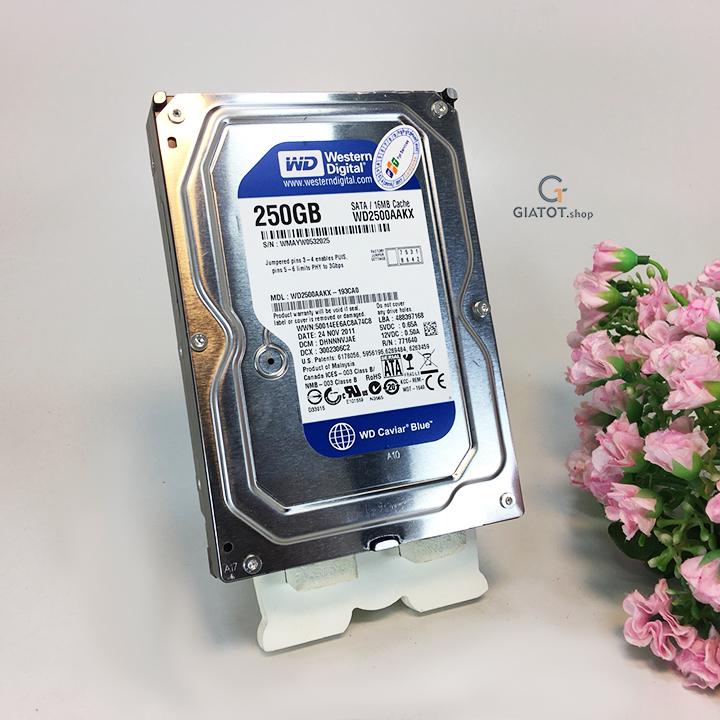 Ổ cứng RN Westem Blue Bảo hành 12 tháng đổi mới