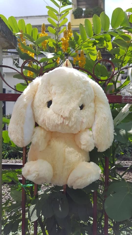 BALO THỎ BÔNG 55CM