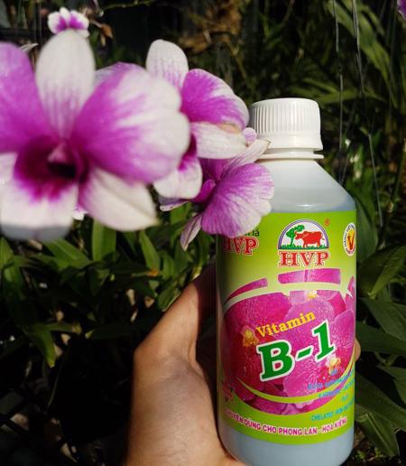 Vitamin B1 HVP for orchid (100ml / bottle)