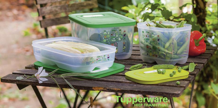 Hộp ngăn mát Tupperware Vensmart 7 hộp