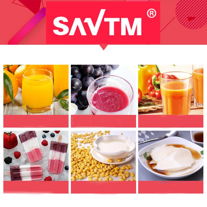 Máy ép trái cây hoa quả tốc độ chậm SAVTM JE-31