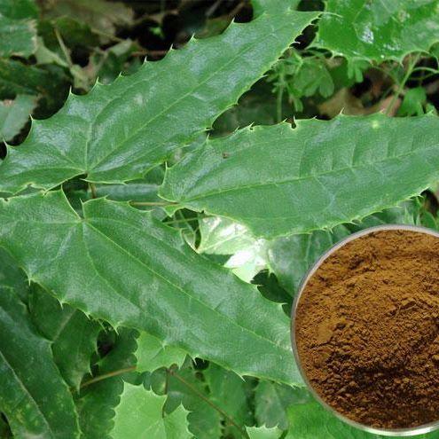 Dâm dương hoắc khô 500g