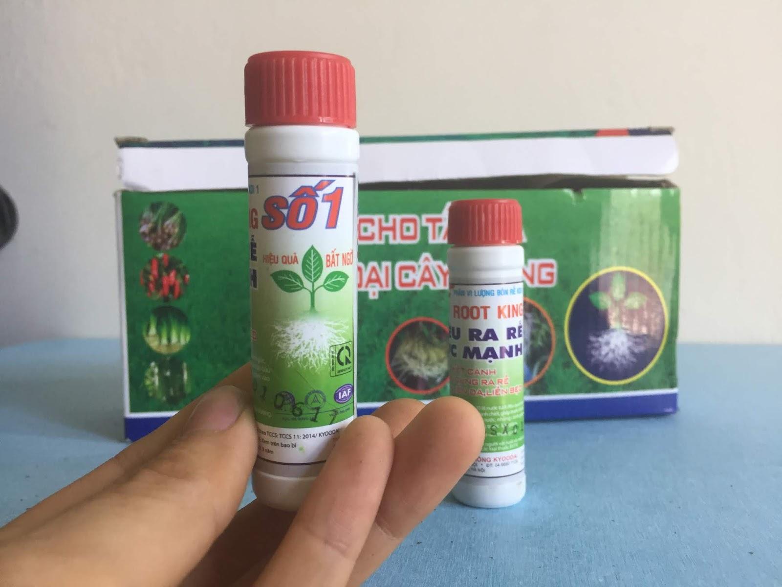 6 lọ Siêu ra rễ cực mạnh Root king