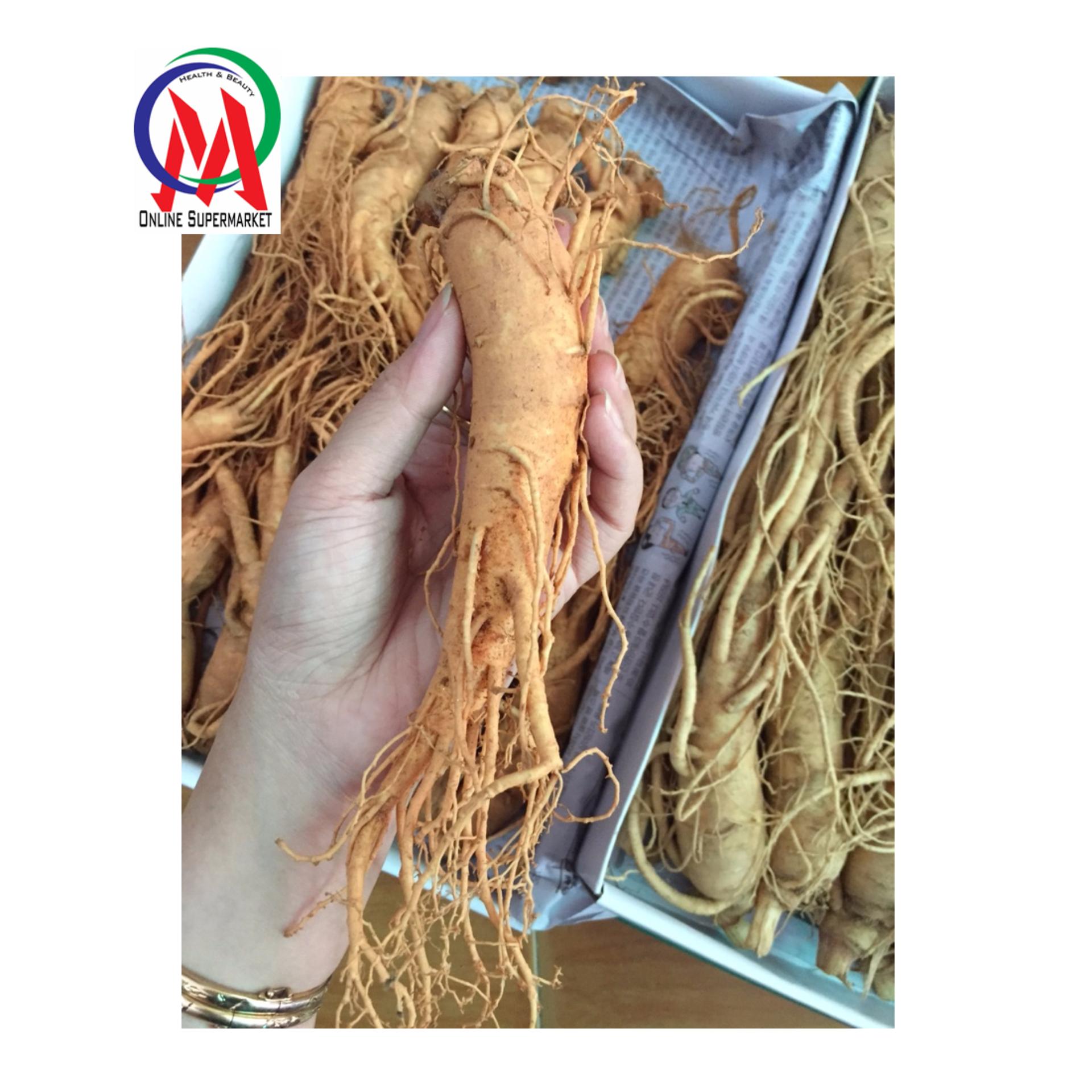Nhân sâm tươi xách tay hàn quốc loại củ lớn